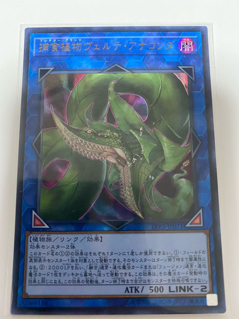 捕食植物ヴェルテ・アナコンダ ウルトラレア