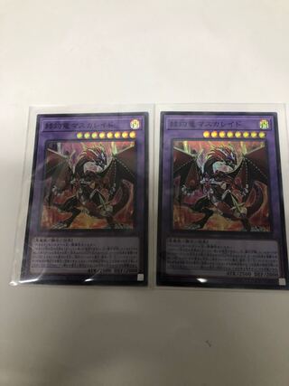 赫灼竜マスカレイド2枚セット