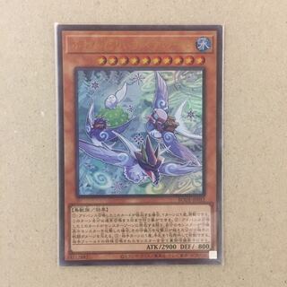 ふわんだりぃず×すのーる