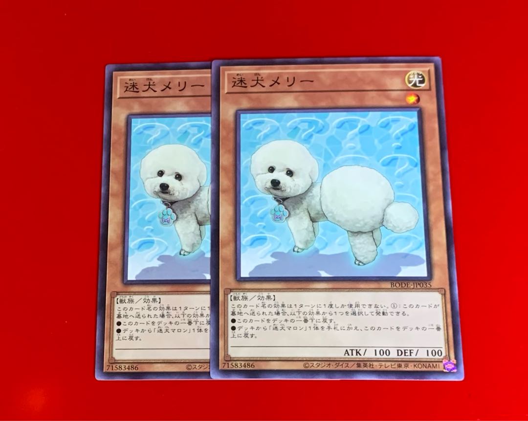 迷犬メリー NR ノーマルレア 2枚