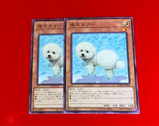 迷犬メリー  NR  ノーマルレア  2枚