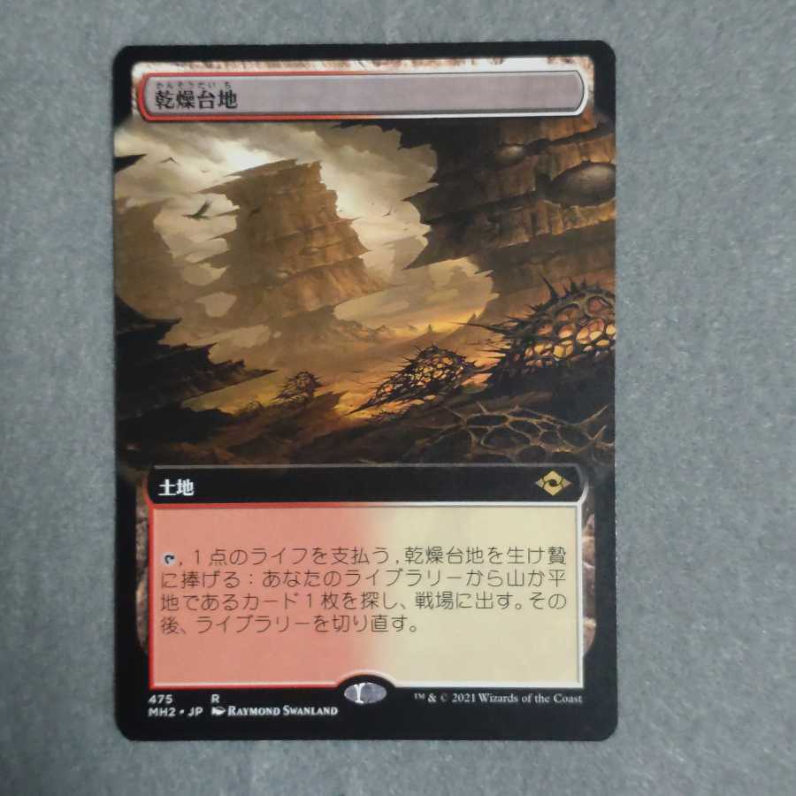 (Permanentさん専用)乾燥台地、湿地の干潟 拡張アート 日本語版