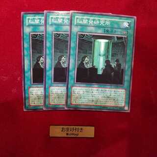 脳開発研究所 ノーマル