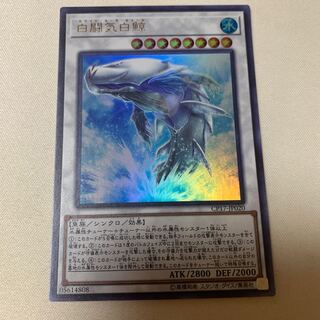 白闘気白鯨 ウルトラレア
