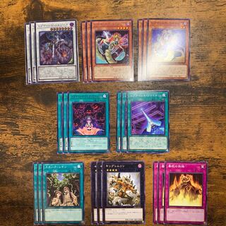 Reptiles 24 reptile-related parts