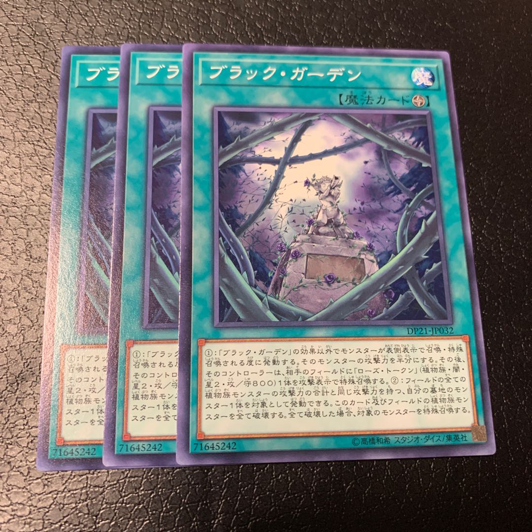 ブラック・ガーデン ノーマル