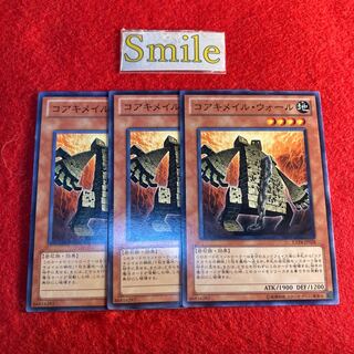 コアキメイル・ウォール#974