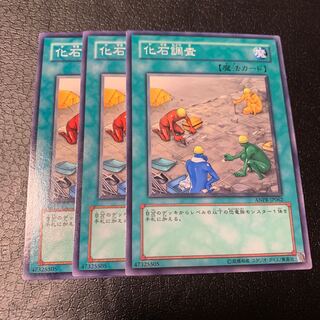 化石調査 ノーマル