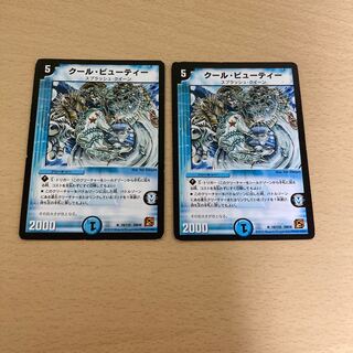 クール・ビューティー