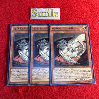 破壊剣士の伴竜#984