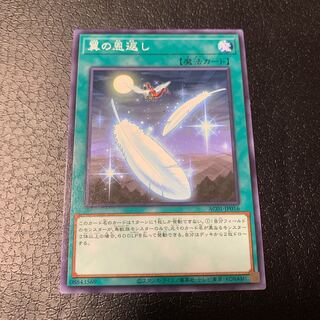 Wing Requital Normal