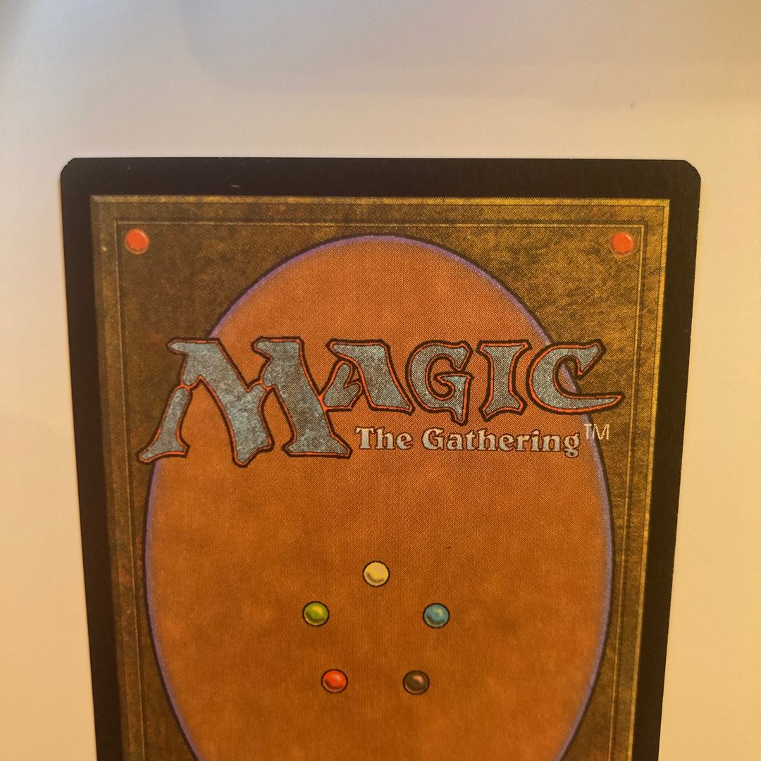 パリンクロン 日本語版