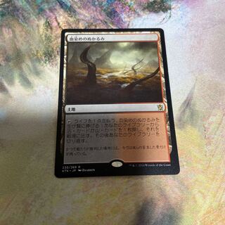 血染めのぬかるみ