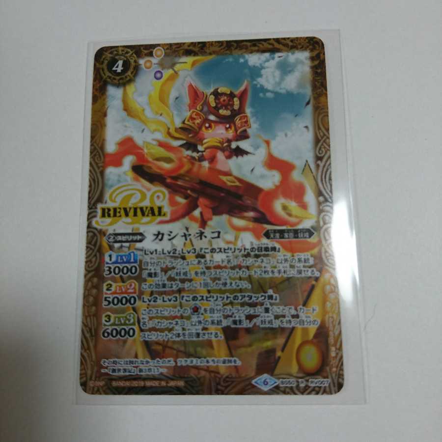 カシャネコ 1枚