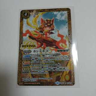 カシャネコ 1枚