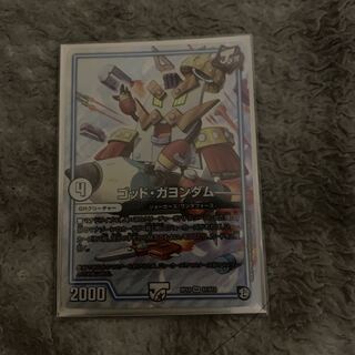 ゴッドガヨンダム　要説明欄チェック