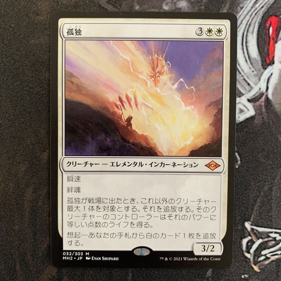 【新品未使用】孤独