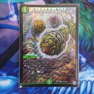 生命と大地と轟破の決断