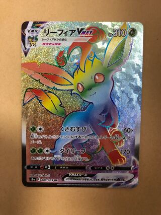 リーフィアvmax HR