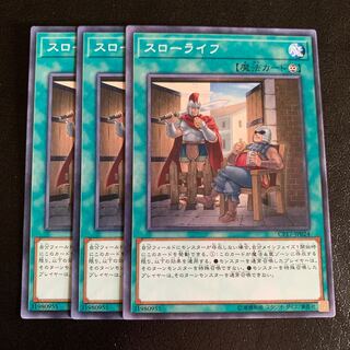 スローライフ ノーマル