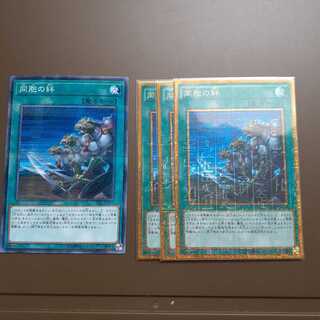 同胞の絆 ミレニアムゴールドレア3枚