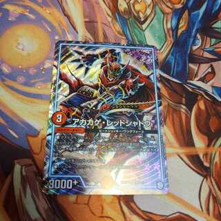 アカカゲ・レッドシャドウ