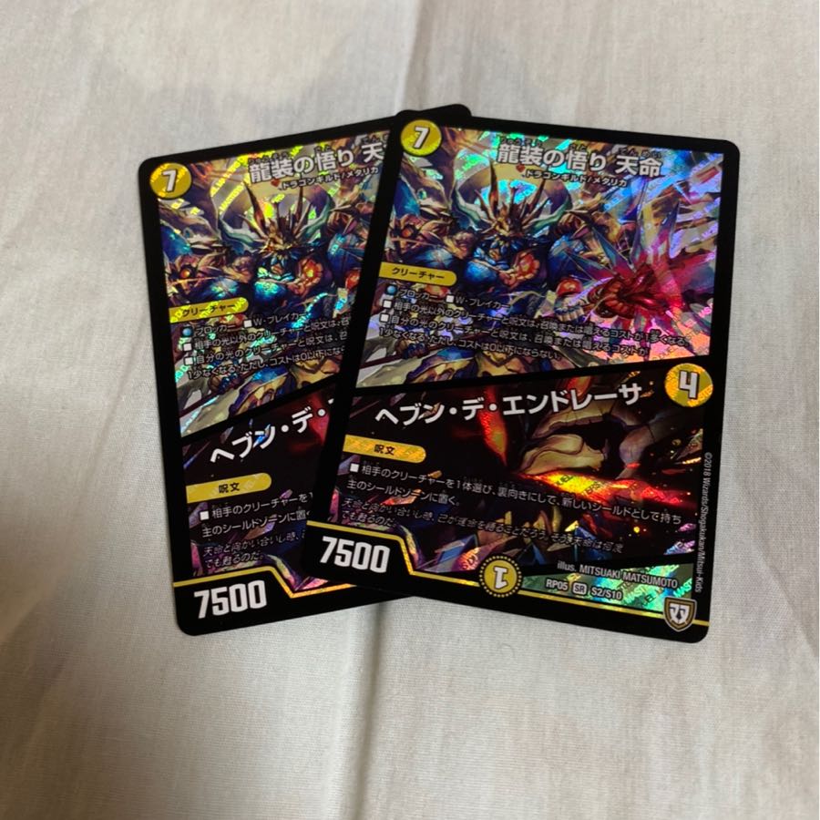 龍装の悟り 天命