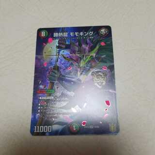 勝熱龍主 モモキング