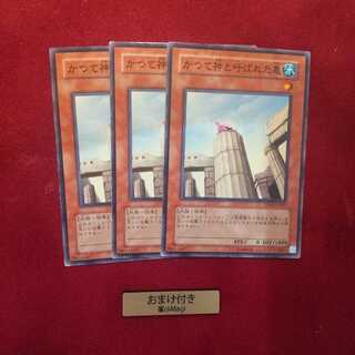 かつて神と呼ばれた亀 ノーマル