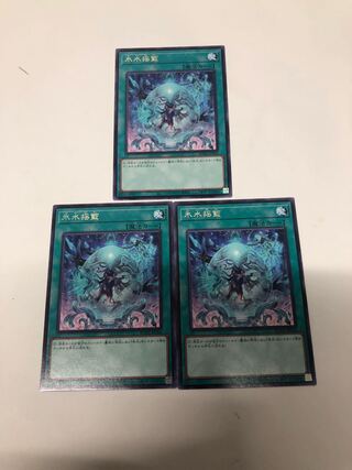 氷水揺籃3枚セット