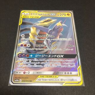 ガブリアス＆ギラティナ