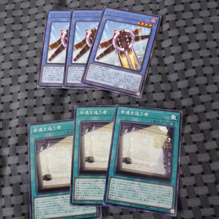 トランソニックバードセット①