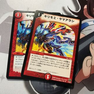 キリモミヤマアラシ 2枚