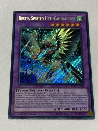 聖霊獣騎 カンナホーク　イタリア語版　EU版