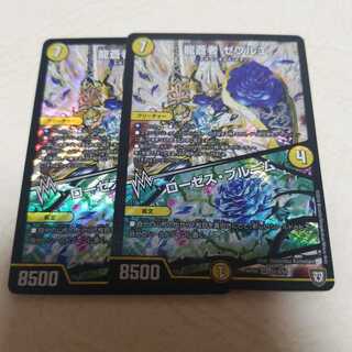 龍蒼者 ゼブルエ｜ローゼス・ブルーム