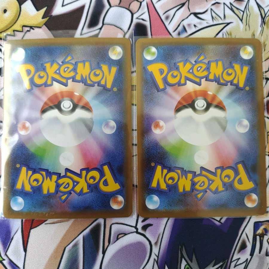 ボスの指令[サカキ](R仕様)