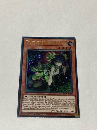 ジーナの蟲惑魔　イタリア語版　EU版