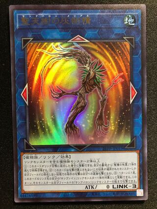 遊戯王　聖天樹の灰樹精　UR