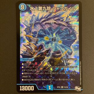 傷あり　水上第九院 シャコガイル