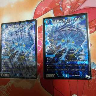 シャコガイル　初期　2枚