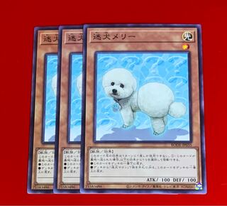 迷犬メリー  NR  ノーマルレア  3枚