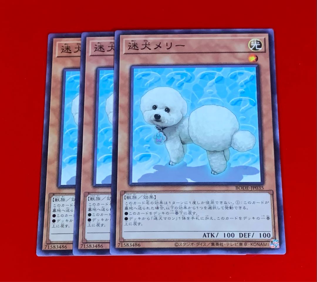 迷犬メリー  NR  ノーマルレア  3枚