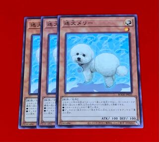 迷犬メリー  NR  ノーマルレア  3枚