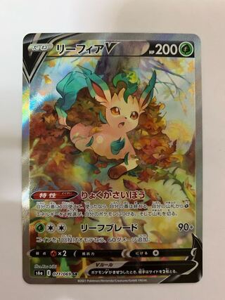 【特価】リーフィアv sa スペシャルアート sr