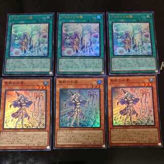 Brave man, set, Water Master of the Sacred Temple, Aramecian Ritual