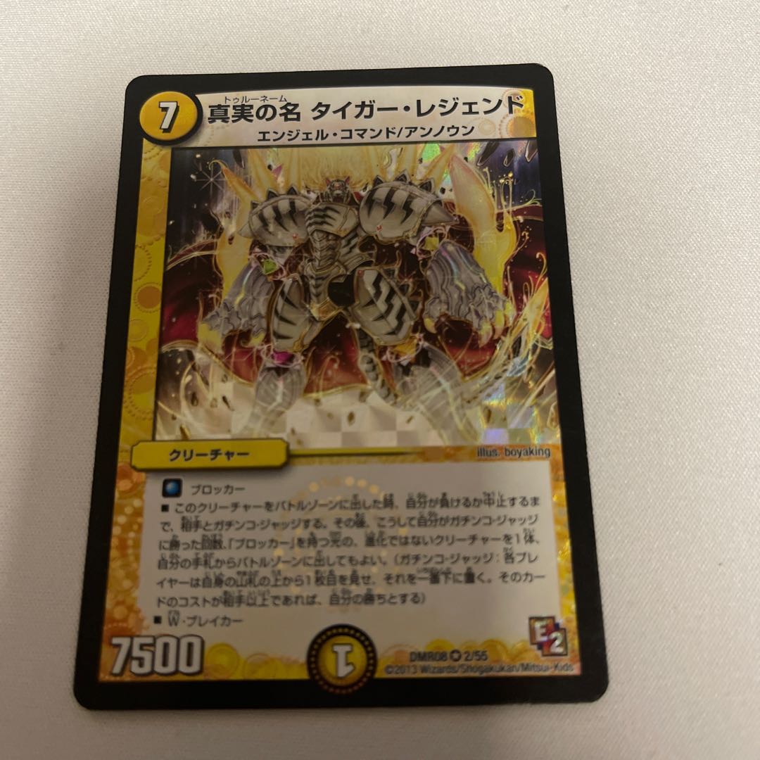 真実の名 タイガー・レジェンド