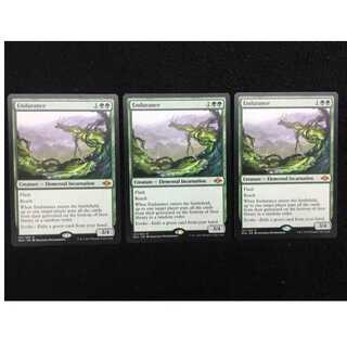 忍耐/Endurance　英語 3枚