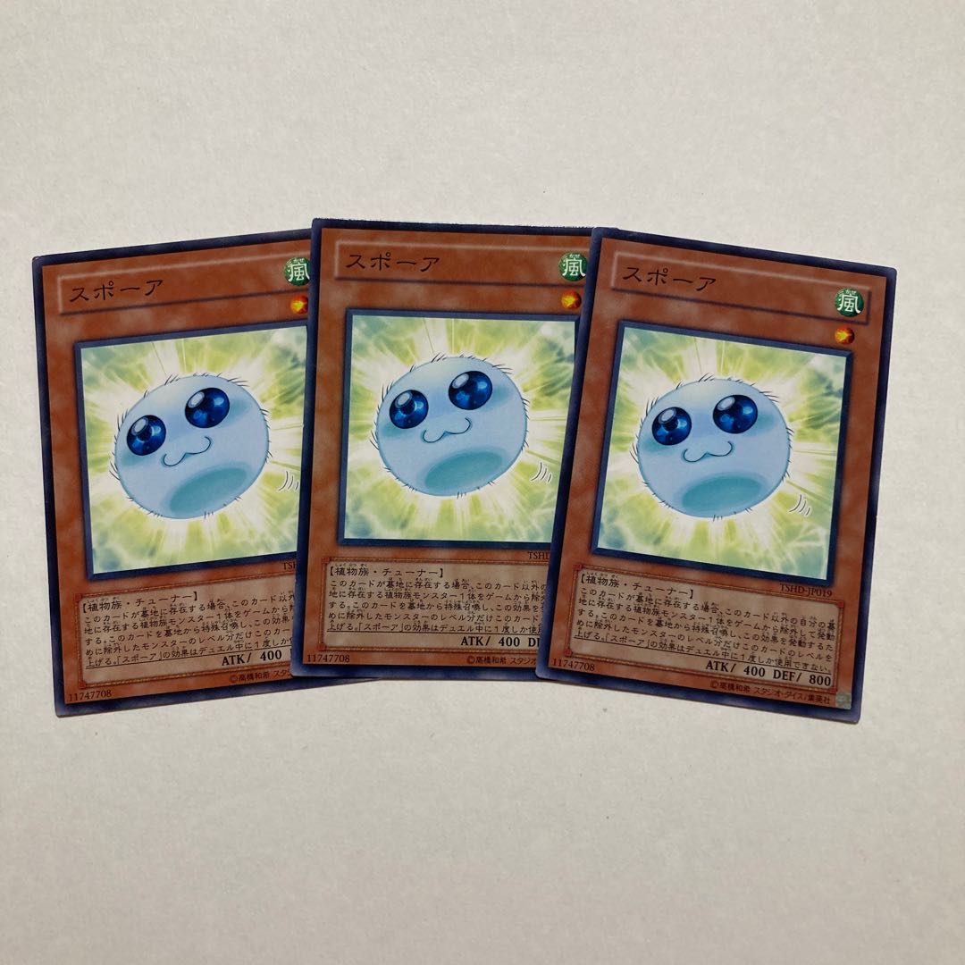 スポーア ノーマル