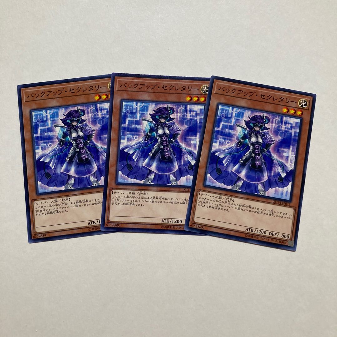 バックアップ・セクレタリー ノーマル