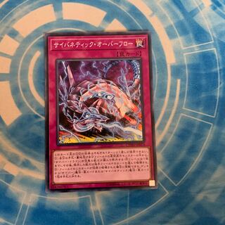 サイバネティック・オーバーフロー